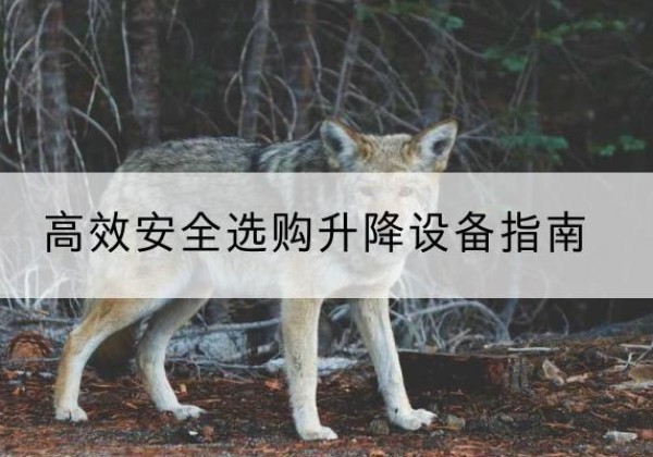 贵定升降货梯厂家推荐-*安全选购升降设备指南