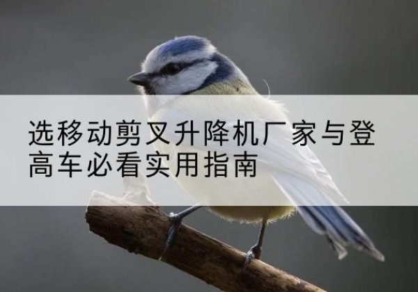 贵定电动升降机厂家-选移动剪叉升降机厂家与登高车必看实用指南