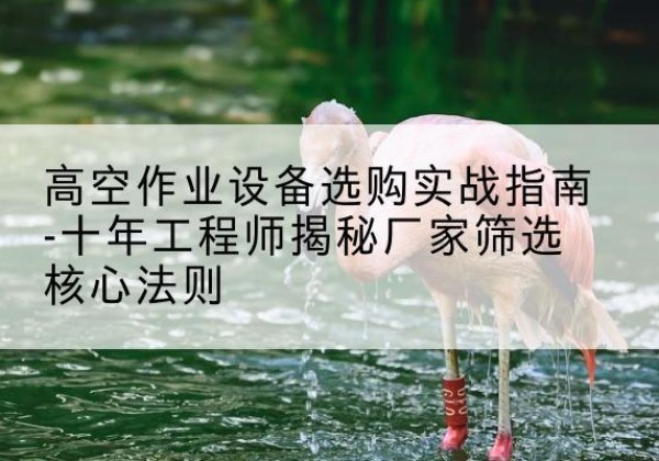 贵定剪叉式升降机厂家-高空作业设备选购实战指南-十年工程师揭秘厂家筛选核心法则